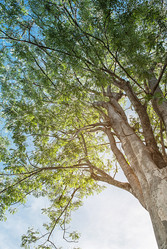 Similar image 8584024