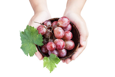 Similar image 8584040