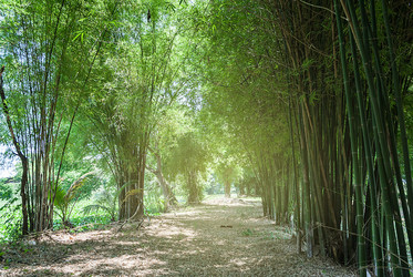 Similar image 8584107