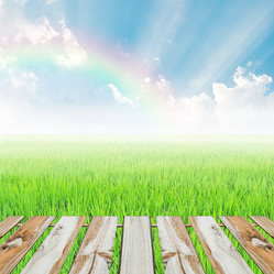 Similar image 8584150