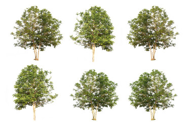 Similar image 8584151