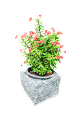 Similar image 8584152