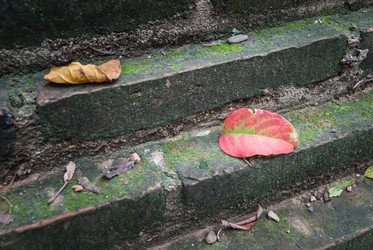 Similar image 8584161