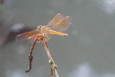 Similar image 8584169