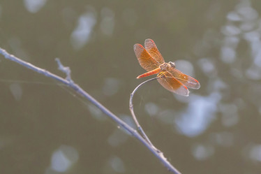 Similar image 8584179