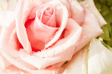 Similar image 8584261