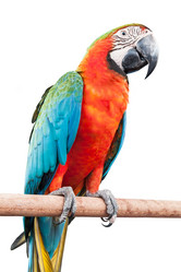 Similar image 8584274