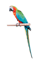 Similar image 8584275