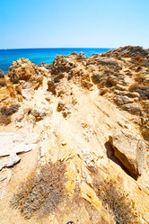 Similar image 8584526