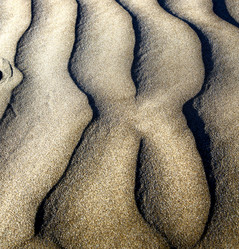 Similar image 8584539