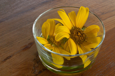 Similar image 8584553