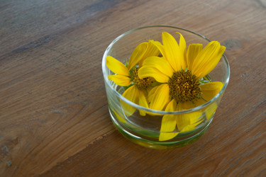 Similar image 8584554