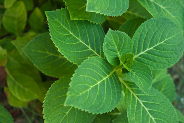 Similar image 8584557