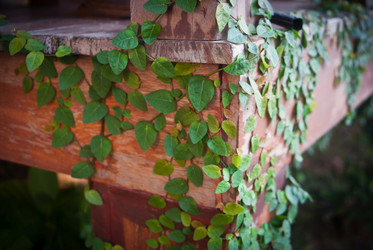 Similar image 8584558