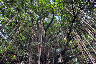 Similar image 8584562