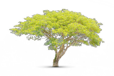 Similar image 8584582