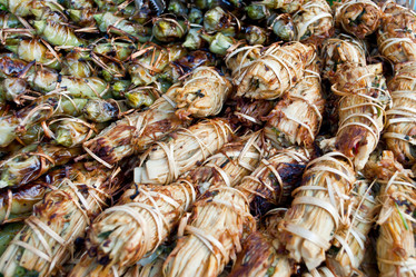 Similar image 8584605