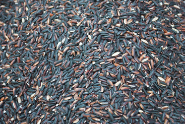 Similar image 8584616