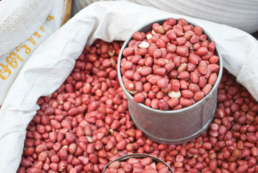 Similar image 8584630