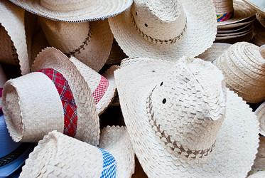 Similar image 8584631