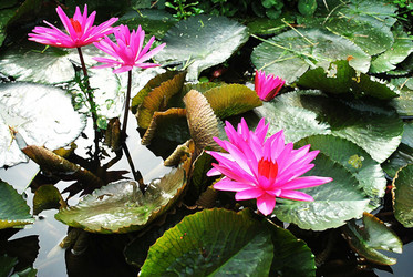 Similar image 8584636