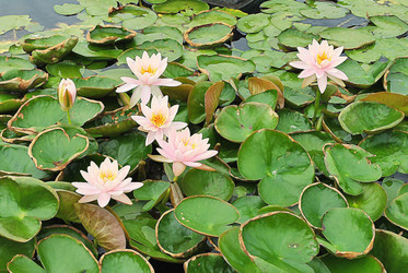 Similar image 8584637