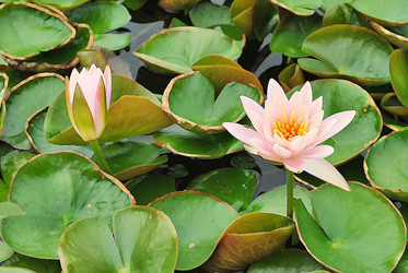 Similar image 8584641