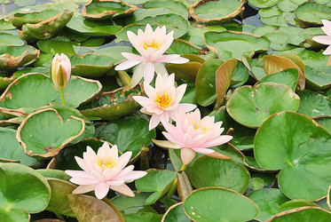 Similar image 8584642