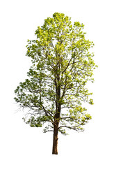 Similar image 8584643