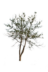 Similar image 8584664