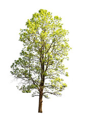 Similar image 8584673