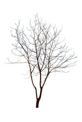 Similar image 8584676