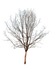 Similar image 8584677