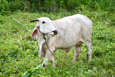 Similar image 8585064