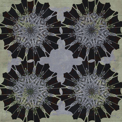 Similar image 8585081