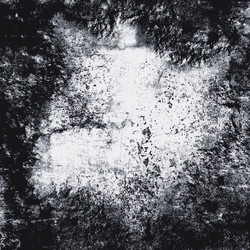 Similar image 8585271