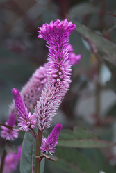 Similar image 8585277