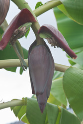 Similar image 8585278