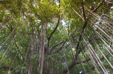 Similar image 8585281