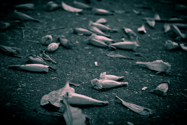 Similar image 8585288