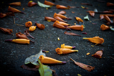 Similar image 8585290