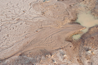 Similar image 8585365