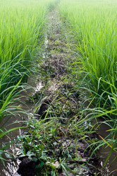 Similar image 8585367