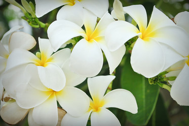 Similar image 8585368