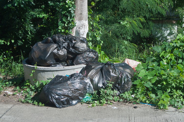 Similar image 8585373