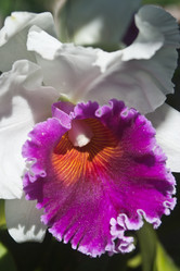 Similar image 8585374