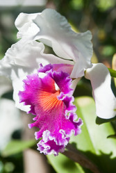 Similar image 8585375