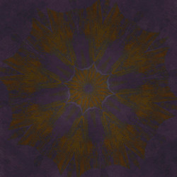 Similar image 8585488