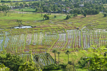 Similar image 8585559