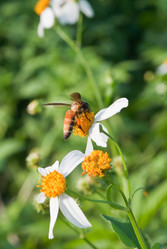 Similar image 8585629